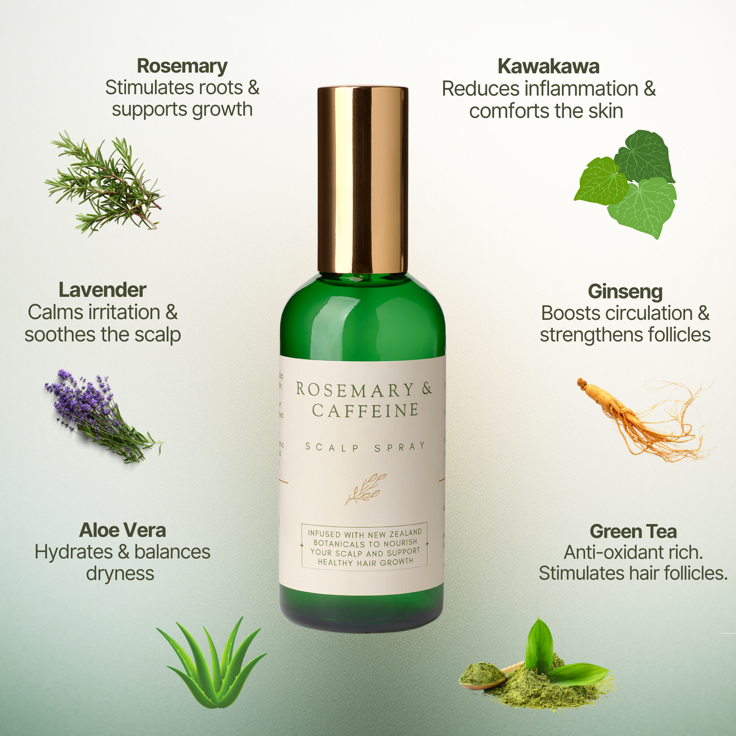 Rosemary & Caffeine Hair Support Duo