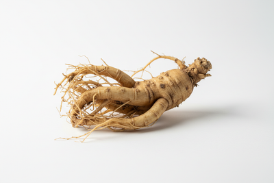ginseng white background